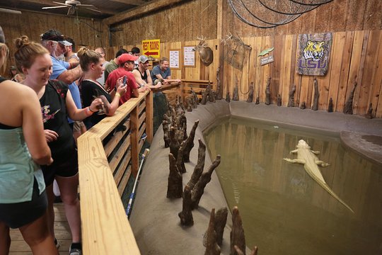 Tour image 4