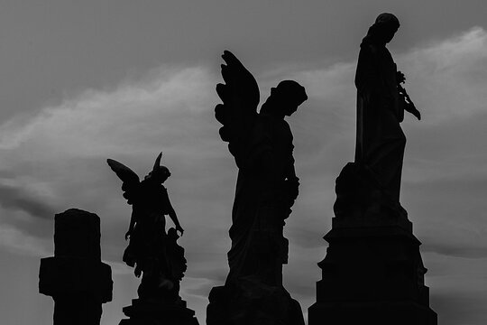 Tour image 10